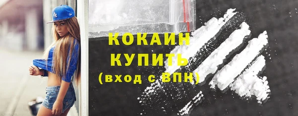 тгк Абаза