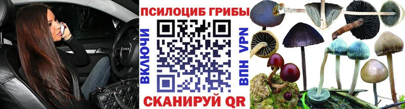Псилоцибиновые грибы Psilocybine cubensis  Лакинск 